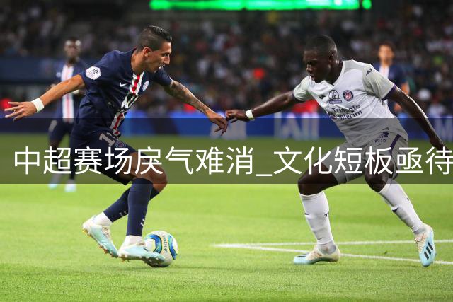 中超赛场戾气难消 文化短板亟待补齐