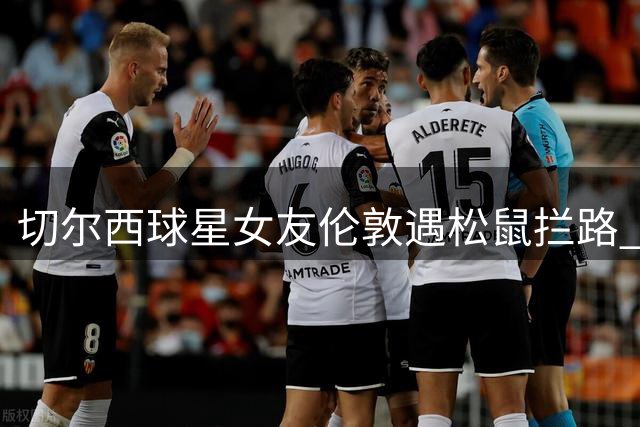 切尔西球星女友伦敦遇松鼠拦路 情绪崩溃吐露搬迁心结
