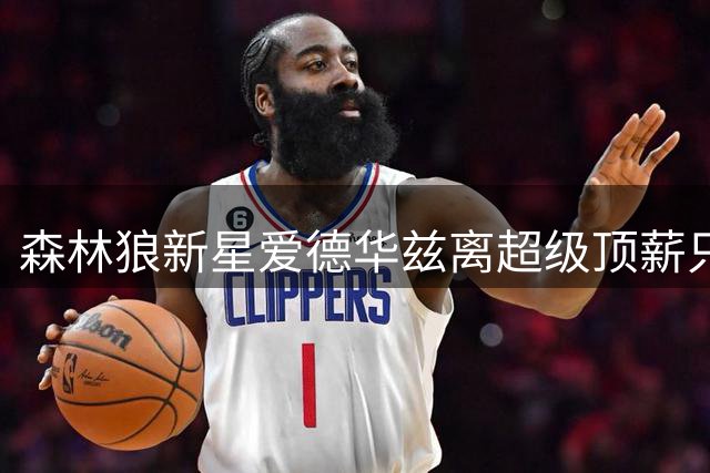 森林狼新星爱德华兹离超级顶薪只差一步 最佳阵容成关键指标