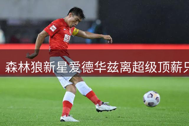 森林狼新星爱德华兹离超级顶薪只差一步 最佳阵容成关键指标
